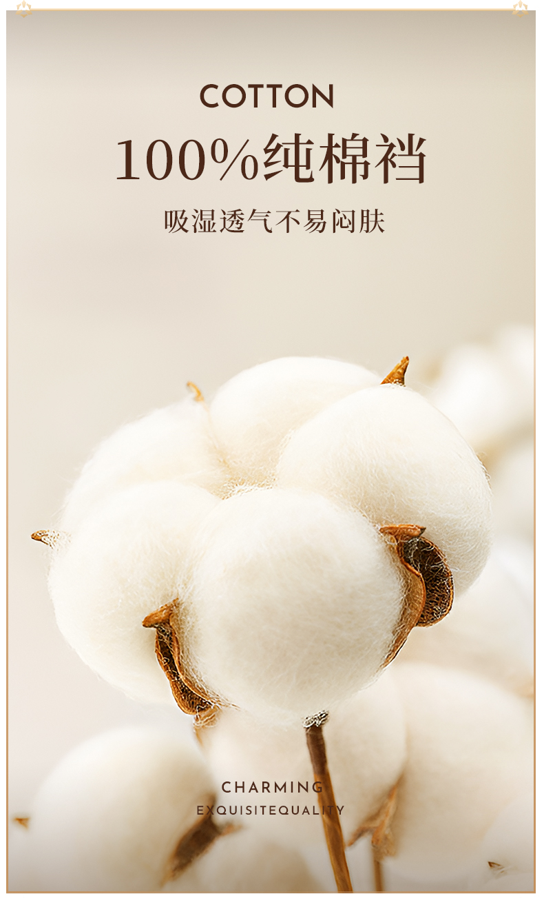 P703｜法式蕾丝蜜臀裤｜5条礼盒装
