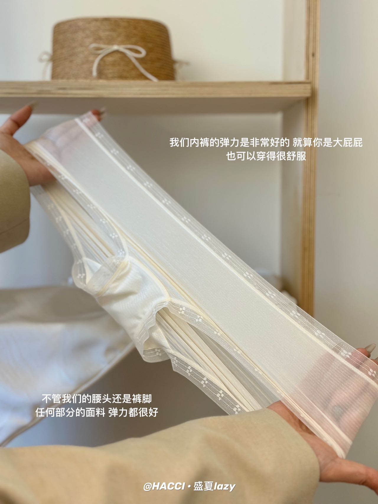 P229｜盛夏超薄网纱内裤五条礼盒